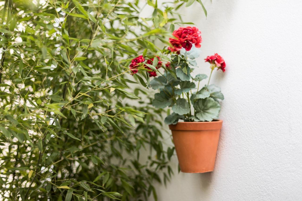 Alfama Design Villa Lisboa 外观 照片
