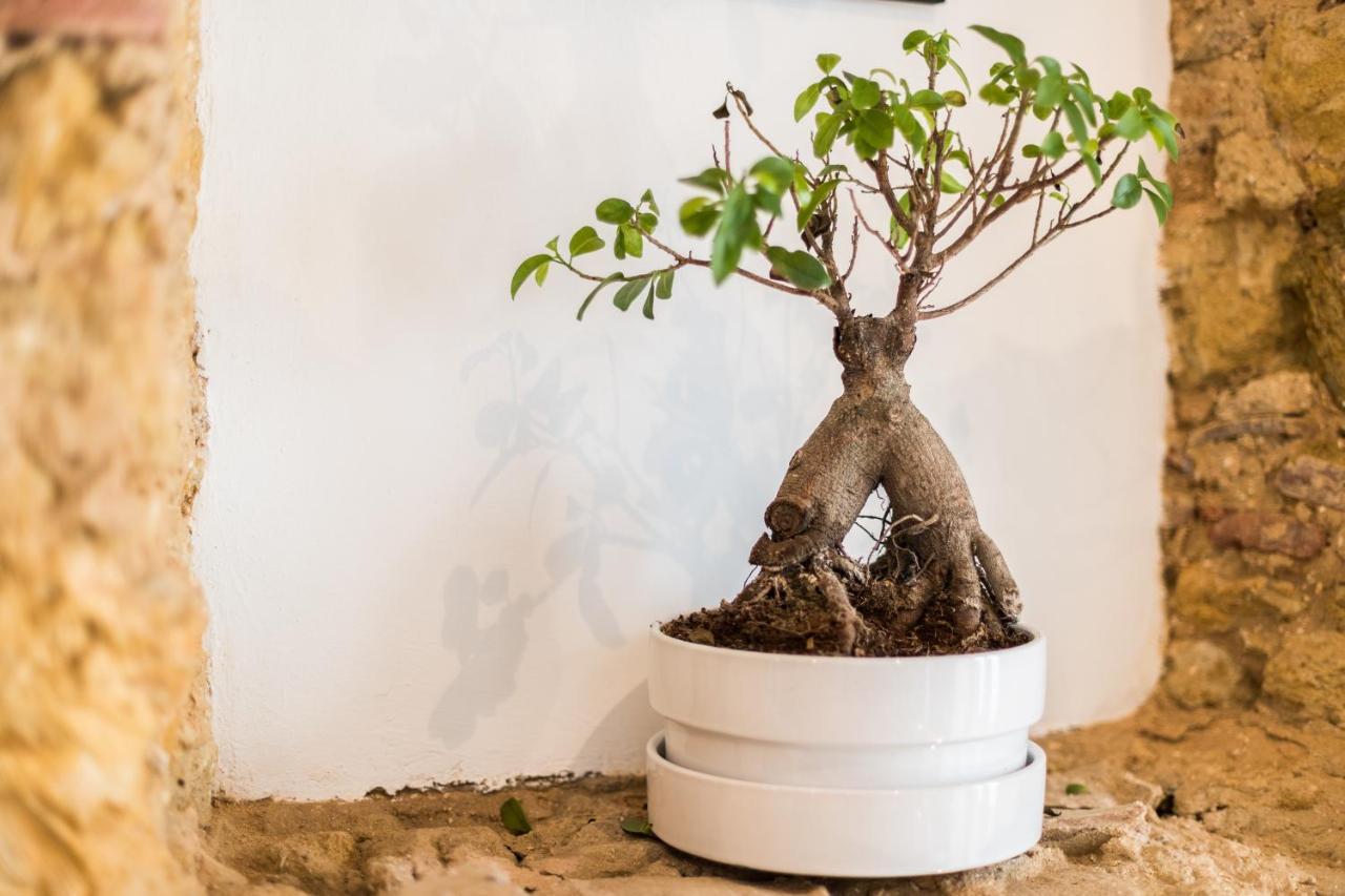 Alfama Design Villa Lisboa 外观 照片